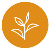 Certified Organic