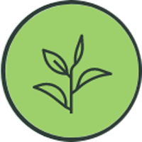 Certified Organic