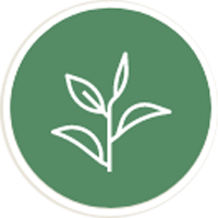 Certified Organic