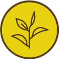 Certified Organic