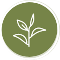 Certified Organic